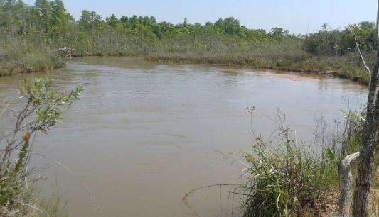 Bombeiros localizam corpo de menino de 9 anos que se afogou em rio