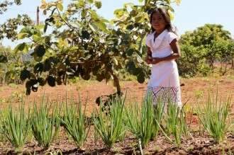 Aldeias ind&iacute;genas da Capital receber&atilde;o 3,5 milh&otilde;es para produ&ccedil;&atilde;o de Horticultura