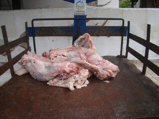 Carne de jacaré foi apreendida durante fiscalização da PMA. (Foto: Divulgação)
