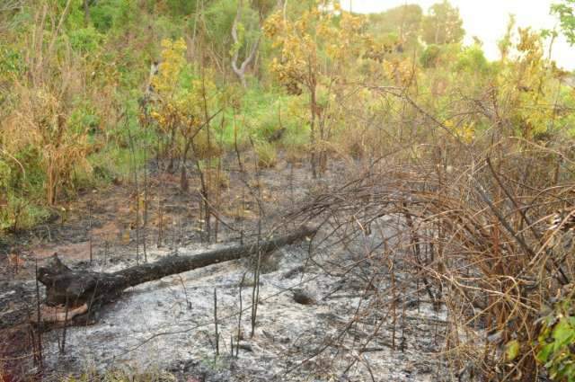 Inc&ecirc;ndio na &aacute;rea do Ex&eacute;rcito come&ccedil;ou com fogo  em entulhos