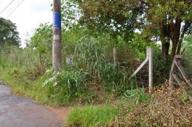 Cansado de visitas indesej&aacute;veis, morador cobra limpeza de terrenos