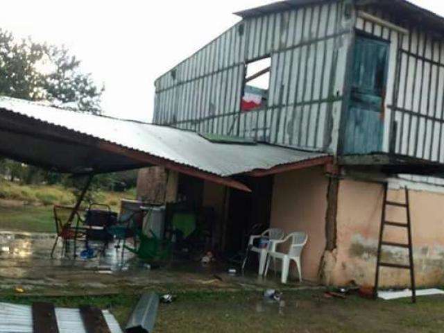 Vendaval com chuva derruba &aacute;rvores e destelha casas no sudoeste do MS