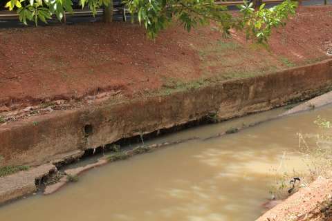 Estragos da chuva exp&otilde;em falta de zelo pela estrutura dos cursos d'&aacute;gua