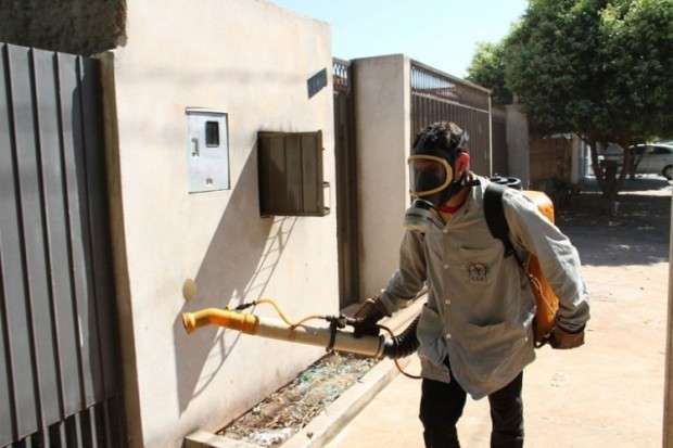 Com 167 notifica&ccedil;&otilde;es em mar&ccedil;o, munic&iacute;pio vive risco de epidemia de dengue