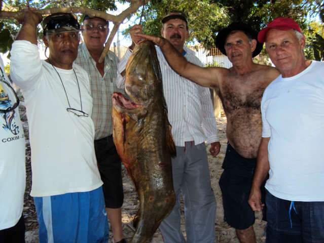  Homens pescam ja&uacute; de 73kg no rio Taquari, &aacute;rea urbana de Coxim