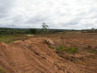 Desmatamento de área na região do Rio Verde causou reações. (Foto: Direto das Ruas)
