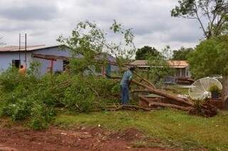 Árvores caíram e casas foram destruídas. (foto: Maracaju na Hora / Graci Sulzbach)