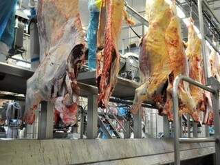 Carne bovina ajudou a impulsionar números positivos de exportação em MS (Foto: Divulgação)