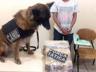 Cão farejador da PM ao lado de pacotes de skunk, “droga do momento”, que ganhou atenção dos traficantes (Foto: Divulgação)