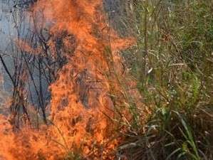Primeiros dias do ano registram  58 focos de incêndio no Pantanal