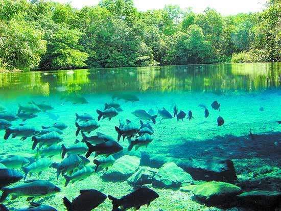 Bonito &eacute; eleito o segundo destino mais &quot;queridinho&quot; por turistas em 2017