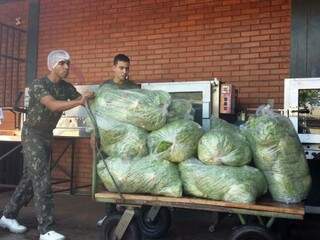 Produtora agora fornece verduras para o Exército. (Foto: Divulgação)