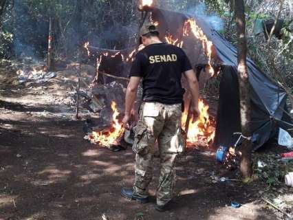 Polícia paraguaia apreende e destrói 318 toneladas de maconha na fronteira