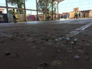 Fezes de pombos em uma das escolas municipais onde há a presença do fungo (Foto: Divulgação)