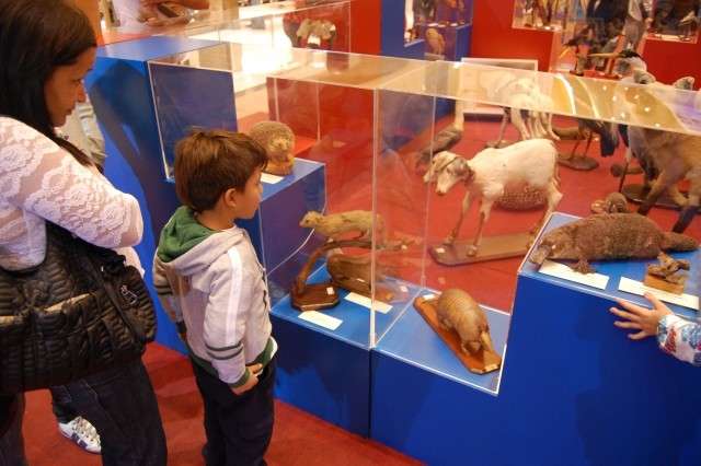 Celebrando anivers&aacute;rio, Museu das Culturas Dom Bosco abre gratuitamente amanh&atilde; 