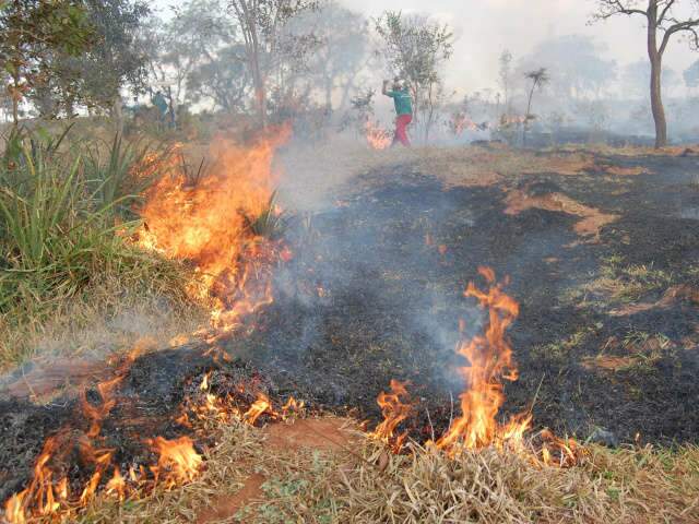  Bituca de cigarro causa inc&ecirc;ndio e fuma&ccedil;a atrapalha tr&acirc;nsito na BR-262 