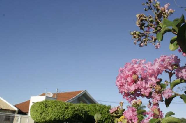 Semana come&ccedil;a com c&eacute;u azul, temperatura amena, mas com previs&atilde;o de chuva