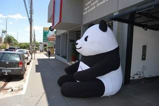 O urso-panda tem mais de dois metros e chama atenção de quem pela na Avenida Mato Grosso (Foto: Alana Portela)