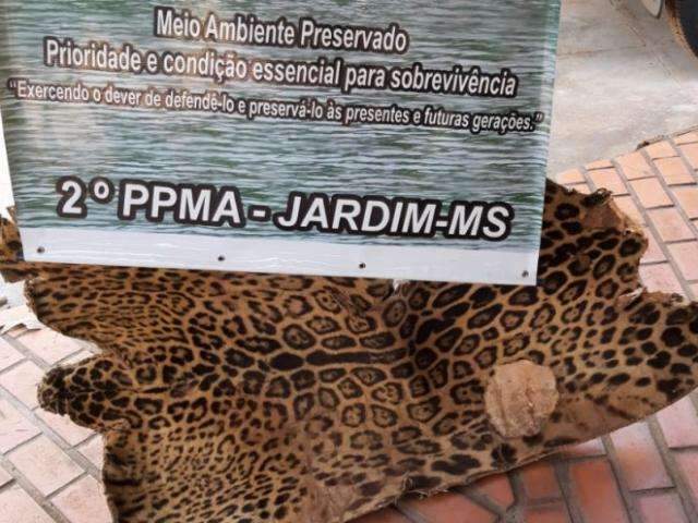 Fazendeiro flagrado com couro de on&ccedil;a pintada &eacute; multado em R$ 8,9 mil