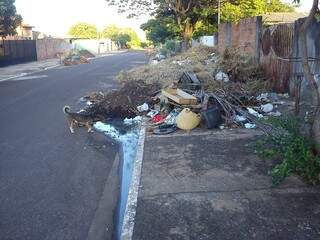 Lixo é tanto que atrapalha trânsito no bairro Santo Amaro (Foto: Repórter News)