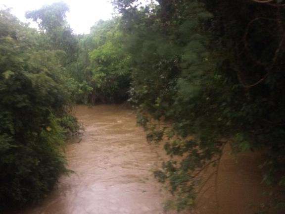 Nivel do Rio Miranda sobe e Imasul alerta para "danos significativos"