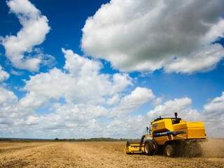 Máquina trabalhando na colheita de soja em MS (Foto: Marcos Ermínio/arquivo)
