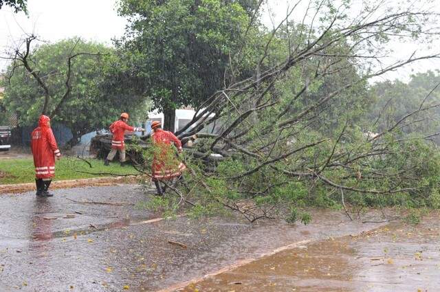 Chuva E Vento Causam Alagamentos Pane Em Sem Foro E Queda De Rvores