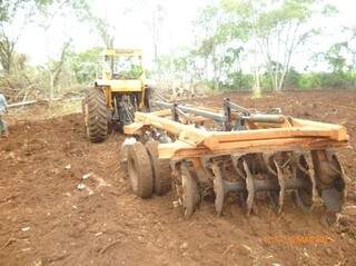 Proprietário derrubou 42 árvores para plantar pastagens. (Foto: Divulgação/Ibama)