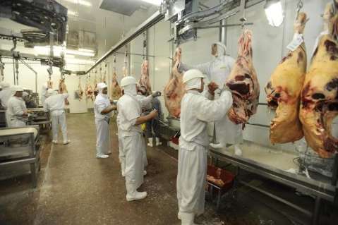 Falta de bois não deve impedir Estado de exportar carne para os EUA
