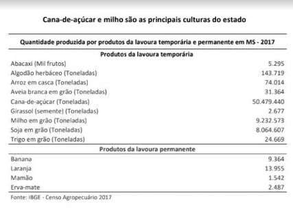 MS tem 7 municípios entre principais produtores de bovinos do País