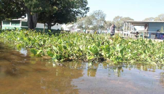 Rio Paraguai ainda provoca inunda&ccedil;&atilde;o na regi&atilde;o da Serra do Amolar