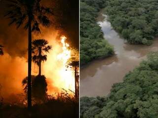 Incêndio no Pantanal e turvamentos de rios na região de Bonito preocupou ambientalistas e exigiu medidas do poder público (Fotos: Paulo Francis/Rio da Prata)