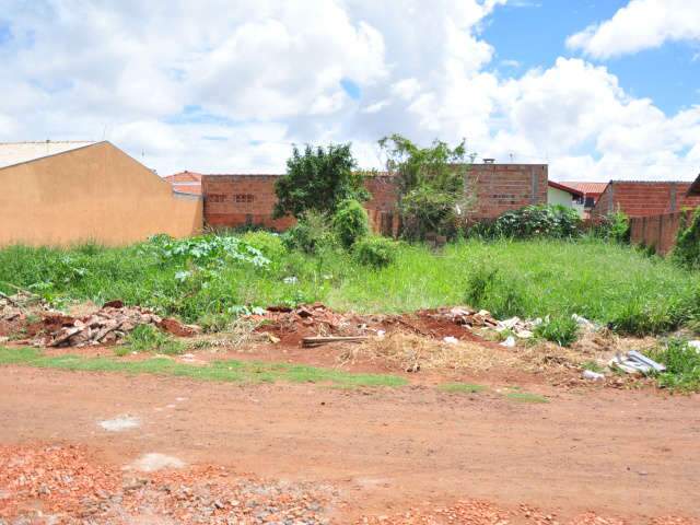  No centro ou pelos bairros, terrenos cheios de mato s&atilde;o problema