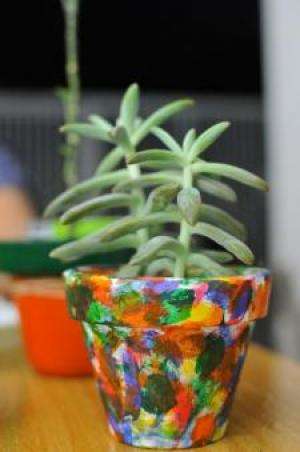 Publicit&aacute;ria cria neg&oacute;cio com venda de plantas suculentas em vasinhos decorados 