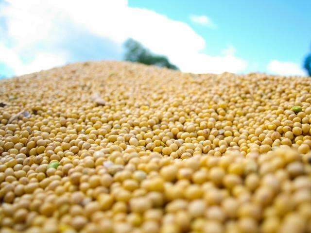 Mato Grosso do Sul j&aacute; vendeu 71% da soja colhida na safra 2017/2018