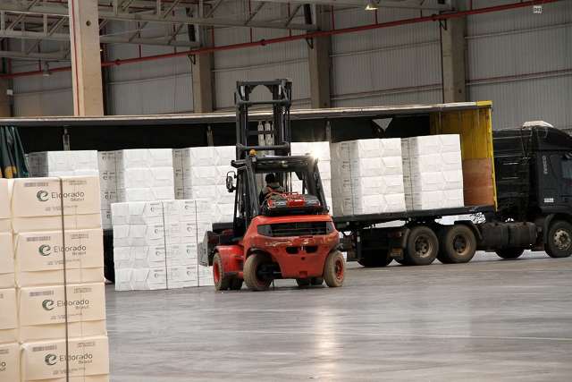 De janeiro a julho, celulose representou 60% de exporta&ccedil;&otilde;es da ind&uacute;stria de MS
