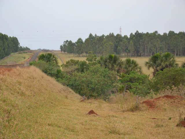 Homem &eacute; encontrado morto perto de curtume no Indubrasil 