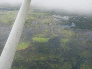 Visão do pantanal corumbaense de uma aeronave (Foto: Direto das Ruas)