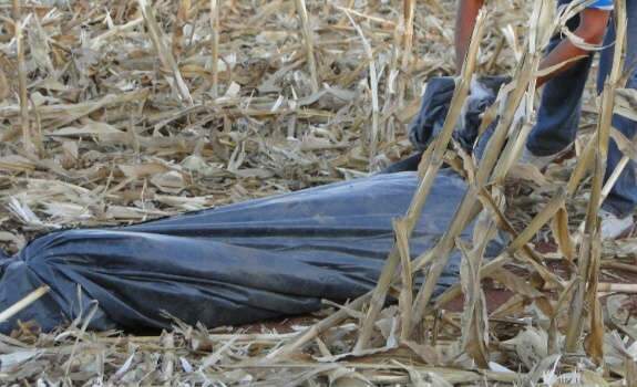  Corpo &eacute; encontrado em planta&ccedil;&atilde;o de milho em Sonora; causa da morte &eacute; um mist&eacute;rio
