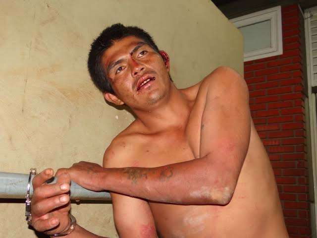 Homem arromba mercado para comer bolacha e vai preso ap&oacute;s subir em &aacute;rvore