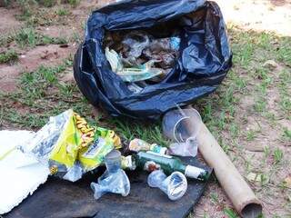 Mutirão retirou lixou deixado por visitantes do parque (Foto:Divulgação)