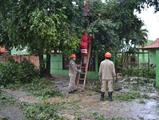 Frio causa geada em 6 cidades e m&iacute;nima chega a -1&deg; nesta manh&atilde;