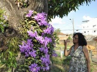 Dona Guia zela por suas flores (Foto: Marcelo Calazans)