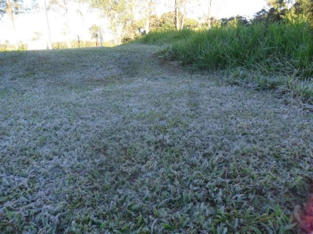 Frio provoca sensa&ccedil;&atilde;o t&eacute;rmica de -5&ordm;C e geada at&eacute; no norte de MS