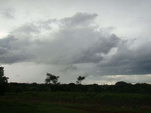 Chuva de mar&ccedil;o supera m&eacute;dia dos &uacute;ltimos 28 anos em Dourados