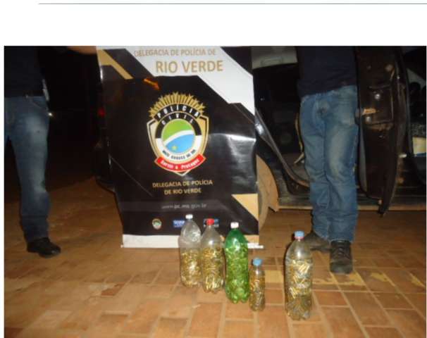 Homem &eacute; preso transportando 3,1 mil muni&ccedil;&otilde;es em garratas pet