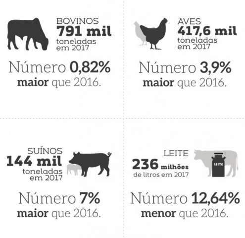 MS deve fechar o ano com produ&ccedil;&atilde;o de 791 mil toneladas de carne bovina