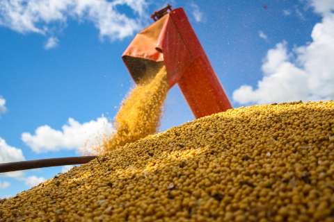 Produtores de cana e pecuaristas migram para soja e área cresce 30% 