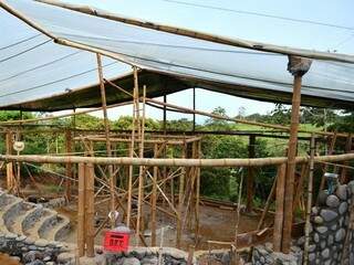 Construções em bambu.