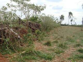 Local em fazenda onde o idoso realizou o desmatamento (Foto: Divulgação/ PMA)